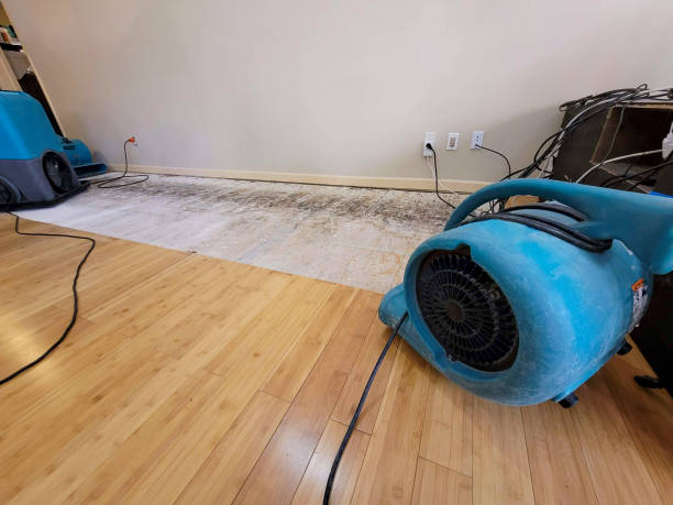 Professional Emergency Water Damage technician working in Hilliards, PA